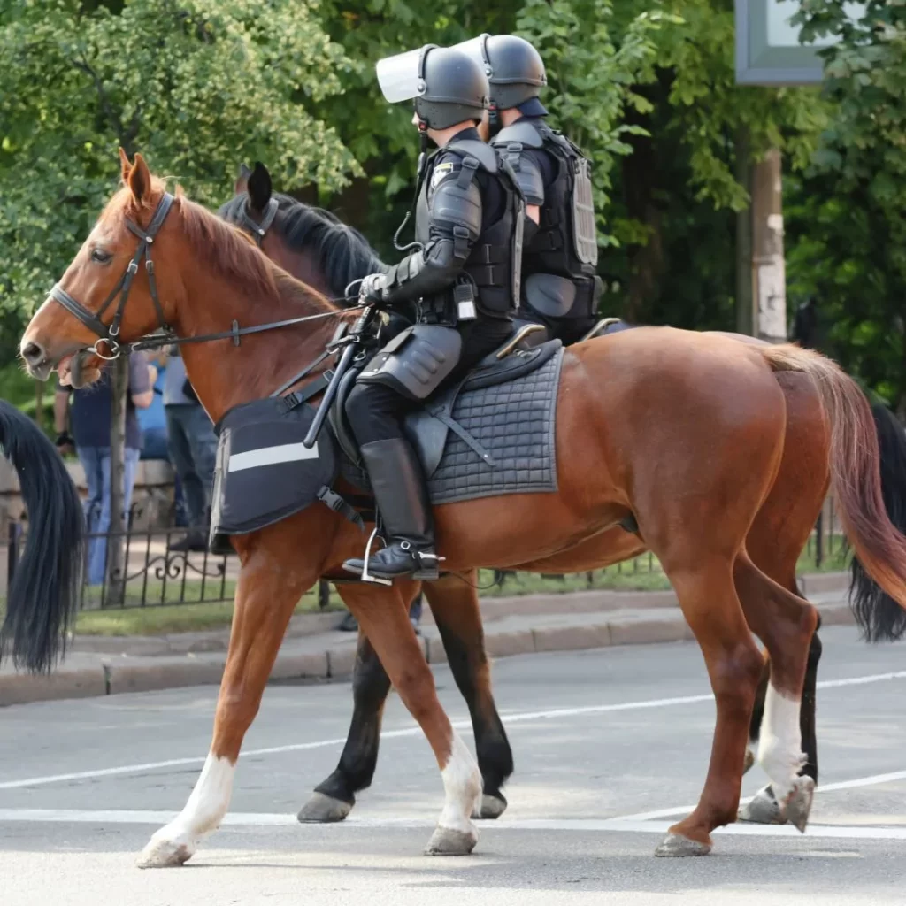 Patrullaje en caballos o con otros métodos